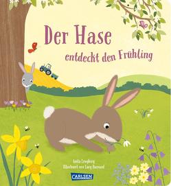 Der Hase entdeckt den Frühling von Barnard,  Lucy, Hofmann,  Julia, Loughrey,  Anita