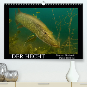 Der Hecht – Tauchen Sie ab mit Daniel Hohlfeld (Premium, hochwertiger DIN A2 Wandkalender 2021, Kunstdruck in Hochglanz) von Hohlfeld,  Daniel