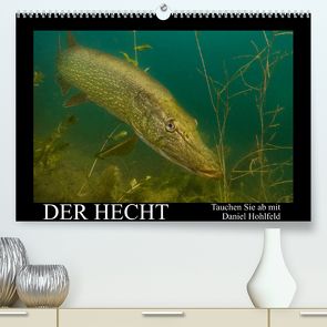 Der Hecht – Tauchen Sie ab mit Daniel Hohlfeld (Premium, hochwertiger DIN A2 Wandkalender 2023, Kunstdruck in Hochglanz) von Hohlfeld,  Daniel