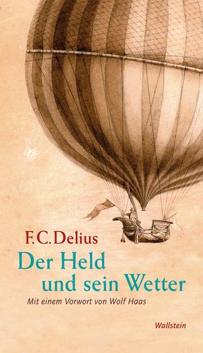 Der Held und sein Wetter von Delius,  Friedrich Christian, Haas,  Wolf