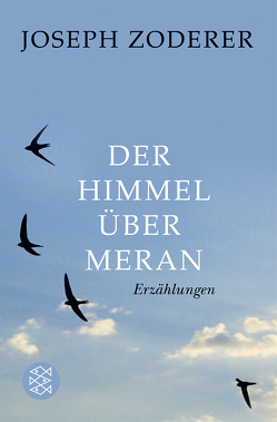 Der Himmel über Meran von Zoderer,  Joseph