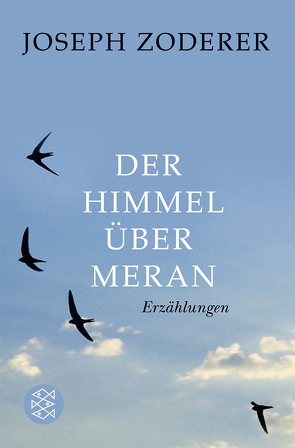 Der Himmel über Meran von Zoderer,  Joseph