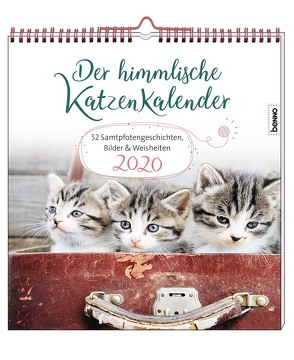 Der himmlische Katzenkalender 2020 von Wendler,  Heike