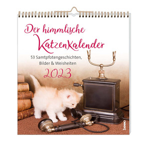 Der himmlische Katzenkalender 2023 von Wendler,  Heike