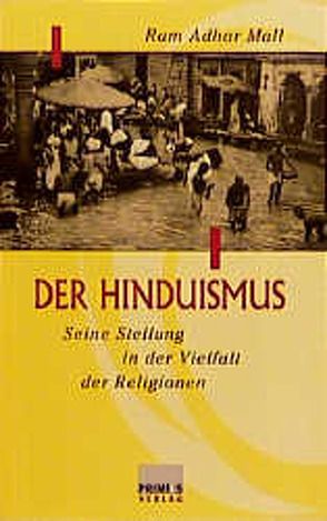 Der Hinduismus von Mall,  Ram A