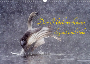 Der Höckerschwan elegant und stolz (Wandkalender 2022 DIN A3 quer) von Martin (GDT),  Wilfried