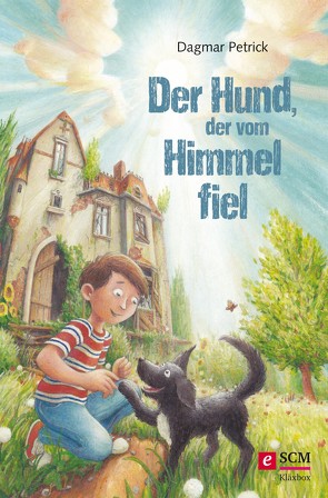 Der Hund, der vom Himmel fiel von Petrick,  Dagmar