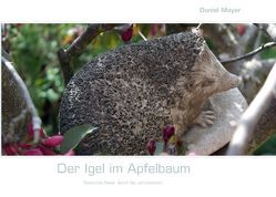 Der Igel im Apfelbaum von Mayer,  Brigitte, Mayer,  Daniel