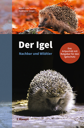 Der Igel – Nachbar und Wildtier von Geiger,  Madeleine, Taucher,  Anouk-Lisa