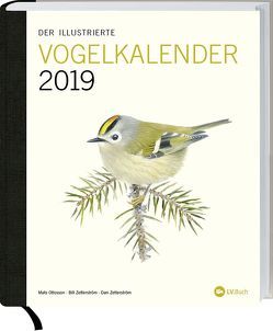 Der illustrierte Vogelkalender 2019 von Ottosson,  Mats, Zetterström,  Bill, Zetterström,  Dan