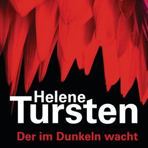 Der im Dunkeln wacht von Danowski,  Katja, Rüegger,  Lotta, Tursten,  Helene, Wolandt,  Holger