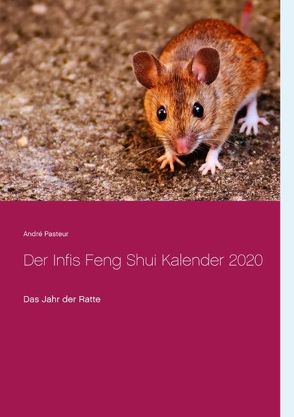 Der Infis Feng Shui Kalender 2020 von Pasteur,  André