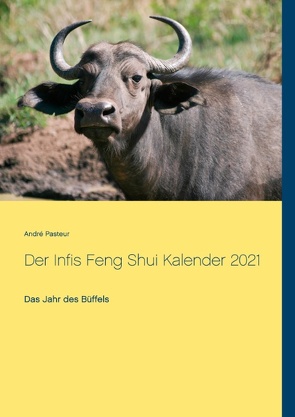 Der Infis Feng Shui Kalender 2021 von Pasteur,  André