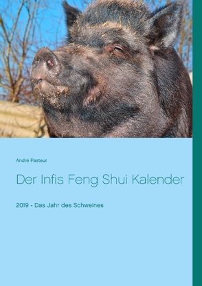 Der Infis Feng Shui Kalender von Pasteur,  André