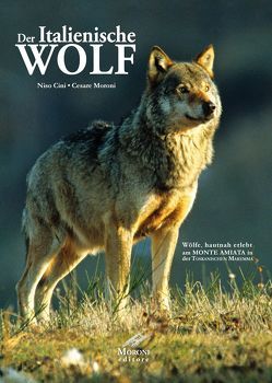 Der italienische Wolf von Cini,  Niso, Moroni,  Cesare