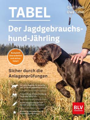 Der Jagdgebrauchshund-Jährling von Tabel,  Uwe