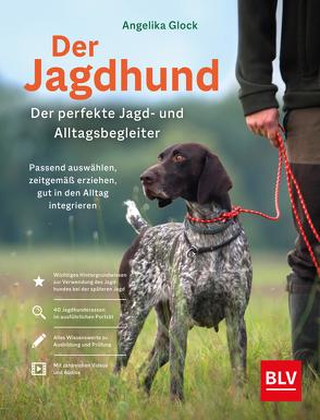 Der Jagdhund als perfekter Jagd- und Alltagsbegleiter von Glock,  Angelika