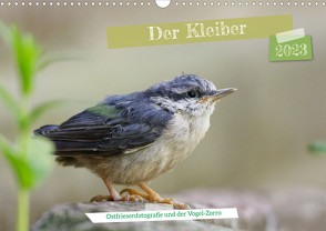 Der Kleiber – Ostfriesenfotografie und der Vogel-Zorro (Wandkalender 2023 DIN A3 quer) von Worch - Ostfriesenfotografie,  Christina