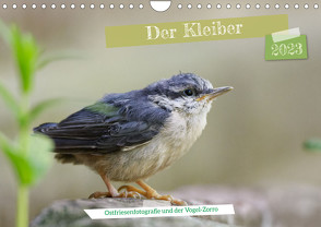 Der Kleiber – Ostfriesenfotografie und der Vogel-Zorro (Wandkalender 2023 DIN A4 quer) von Worch - Ostfriesenfotografie,  Christina