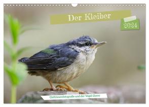 Der Kleiber – Ostfriesenfotografie und der Vogel-Zorro (Wandkalender 2024 DIN A3 quer), CALVENDO Monatskalender von Worch - Ostfriesenfotografie,  Christina