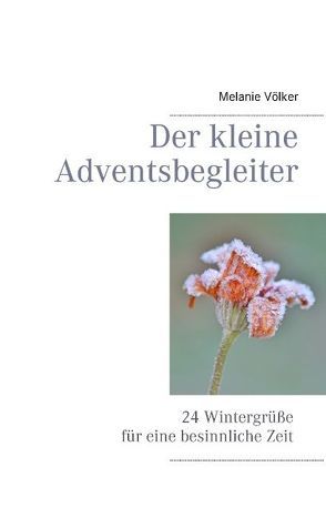 Der kleine Adventsbegleiter von Völker,  Melanie