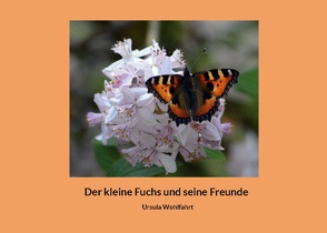 Der kleine Fuchs und seine Freunde von Wohlfahrt,  Ursula