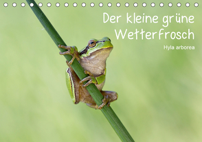 Der kleine grüne Wetterfrosch (Tischkalender 2021 DIN A5 quer) von Wurster,  Beate