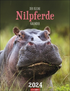 Der kleine Nilpferde-Kalender Kalender 2024