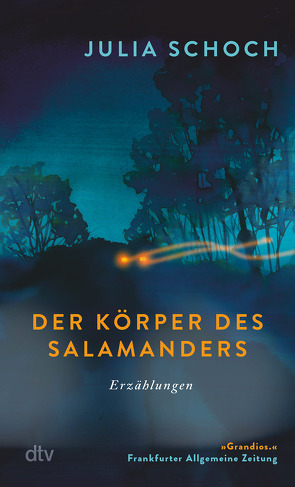 Der Körper des Salamanders von Schoch,  Julia