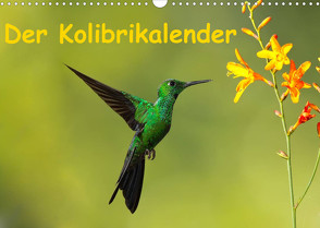 Der Kolibrikalender (Wandkalender 2023 DIN A3 quer) von Akrema-Photography