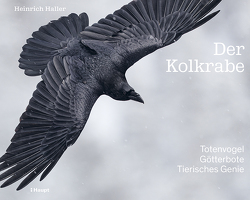 Der Kolkrabe – Totenvogel, Götterbote, tierisches Genie von Haller,  Heinrich