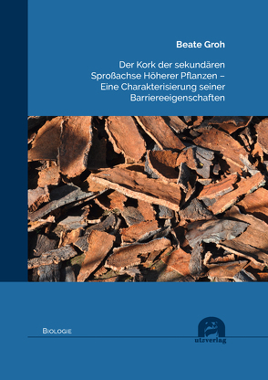 Der Kork der sekundären Sproßachse Höherer Pflanzen – Eine Charakterisierung seiner Barriereeigenschaften von Groh,  Beate