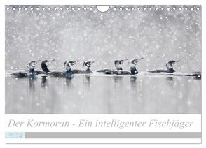 Der Kormoran – Ein intelligenter Fischjäger (Wandkalender 2024 DIN A4 quer), CALVENDO Monatskalender von Martin,  Wilfried