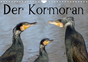 Der Kormoran (Wandkalender 2023 DIN A4 quer) von Rufotos