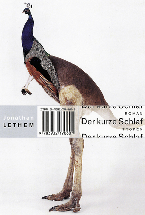 Der kurze Schlaf (Trojanische Pferde, Bd. 10) von Lethem,  Jonathan, Winter,  Biggy