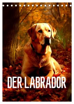 Der Labrador (Tischkalender 2024 DIN A5 hoch), CALVENDO Monatskalender von Alberts,  Tim