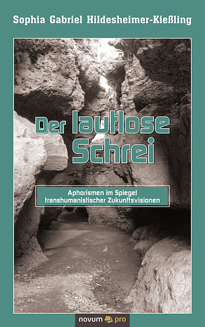Der lautlose Schrei von Hildesheimer-Kießling,  Sophia Gabriel