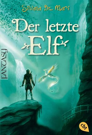 Der letzte Elf von De Mari,  Silvana, Kleiner,  Barbara