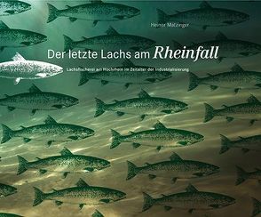 Der letzte Lachs am Rheinfall von Matzinger,  Heiner