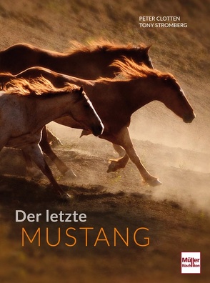 Der letzte Mustang von Clotten,  Peter, Stromberg,  Tony