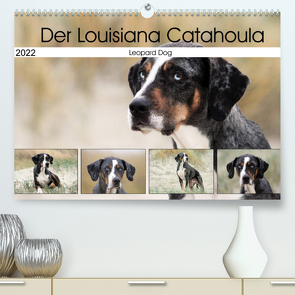 Der Louisiana Catahoula Leopard Dog (Premium, hochwertiger DIN A2 Wandkalender 2022, Kunstdruck in Hochglanz) von SchnelleWelten