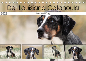 Der Louisiana Catahoula Leopard Dog (Tischkalender 2023 DIN A5 quer) von SchnelleWelten