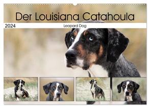 Der Louisiana Catahoula Leopard Dog (Wandkalender 2024 DIN A2 quer), CALVENDO Monatskalender von SchnelleWelten,  SchnelleWelten