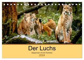 Der Luchs – Begegnungen mit einer Raubkatze (Tischkalender 2024 DIN A5 quer), CALVENDO Monatskalender von Metzger,  Ralf