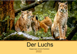 Der Luchs – Begegnungen mit einer Raubkatze (Wandkalender 2022 DIN A2 quer) von Metzger,  Ralf