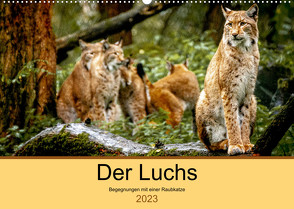 Der Luchs – Begegnungen mit einer Raubkatze (Wandkalender 2023 DIN A2 quer) von Metzger,  Ralf