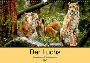 Der Luchs – Begegnungen mit einer Raubkatze (Wandkalender 2023 DIN A3 quer) von Metzger,  Ralf