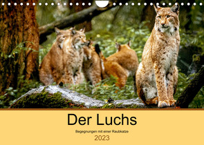 Der Luchs – Begegnungen mit einer Raubkatze (Wandkalender 2023 DIN A4 quer) von Metzger,  Ralf