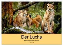 Der Luchs – Begegnungen mit einer Raubkatze (Wandkalender 2024 DIN A2 quer), CALVENDO Monatskalender von Metzger,  Ralf