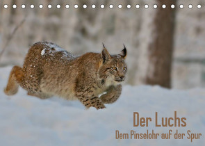 Der Luchs – Dem Pinselohr auf der Spur (Tischkalender 2023 DIN A5 quer) von Rosengarten,  Stefan